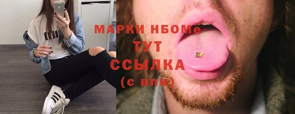 твердый Медногорск