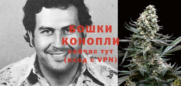эйфоретик Михайлов