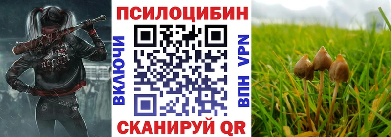 Галлюциногенные грибы Cubensis  цены   Челябинск 