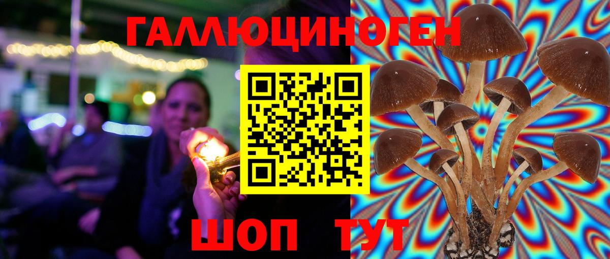 Челябинск  Псилоцибиновые грибы Psilocybe  Вход с VPN 