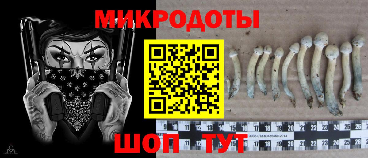 Псилоцибиновые грибы ЛСД Челябинск